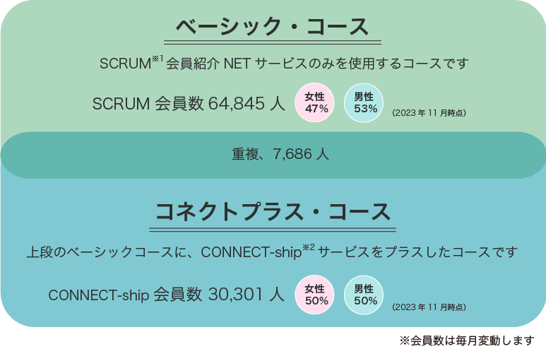 ベーシックコース、コネクトコース